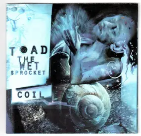 Toad the Wet Sprocket - Coil