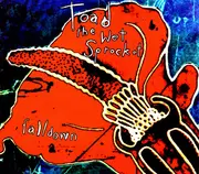 CD Single - Toad The Wet Sprocket - Fall Down