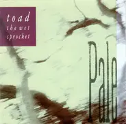 Toad The Wet Sprocket - Pale