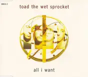 Toad the Wet Sprocket - All I Want