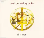 CD Single - Toad The Wet Sprocket - All I Want