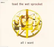 Toad The Wet Sprocket - All I Want