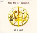 CD Single - Toad The Wet Sprocket - All I Want