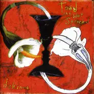 Toad The Wet Sprocket - Dulcinea