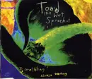 CD Single - Toad The Wet Sprocket - Something's Always Wrong