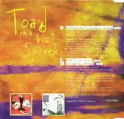 CD Single - Toad The Wet Sprocket - Something's Always Wrong