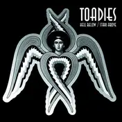 Toadies - Hell Below / Stars Above