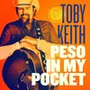 LP - Toby Keith - Peso In My Pocket - HQ-Vinyl LIMITED