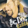 CD - Toby Keith - Big Dog Daddy