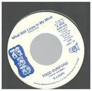 7inch Vinyl Single - Todd Dunford - What Still Lives in My Mind