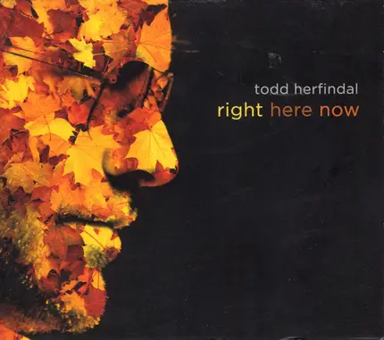 Todd Herfindal - Right Here Now