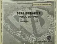 Todd Rundgren - Public Servant