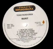 Double LP - Todd Rundgren - Runt / Hermit Of Mink Hollow