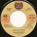 7inch Vinyl Single - Todd Rundgren - You Cried Wolf