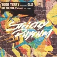 Todd Terry presents Cls - Can You Feel It