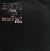 Todd Terry - Back From The Dead EP