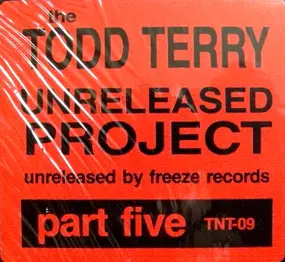 Todd Terry - The Unreleased Project Part 5