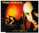 CD - Todd Thibaud - Little Mystery