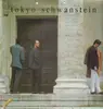 LP - Tokyo Schwanstein - The Very Last Fake Album