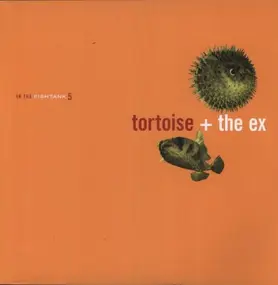 Tortoise - IN THE FISHTANK SERIES