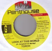 Torch - Look At This World