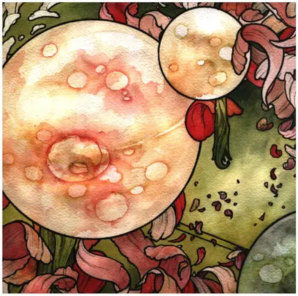 Torche - In Return