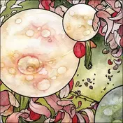 Torche - In Return (10'colored Vinyl + Cd)
