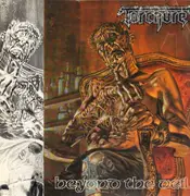 LP - Torchure - Beyond The Veil - Original 1st German