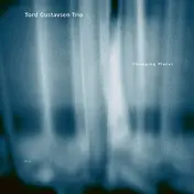 Tord Gustavsen Trio - Changing Places (luminessence Series)