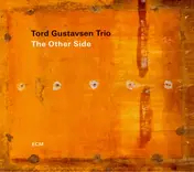 Tord Gustavsen Trio - The Other Side