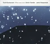 Tord Gustavsen - What Was Said
