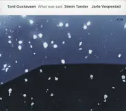 Tord Gustavsen - What Was Said