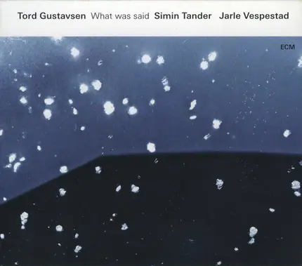 Tord Gustavsen - What Was Said