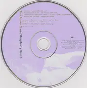CD Single - Tori Amos - Cruel / Raspberry Swirl