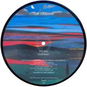Tor Lundvall - Evening / Leaves