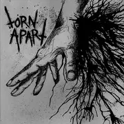 7inch Vinyl Single - Torn Apart - Torn Apart