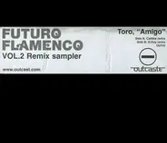 Toro - Future Flamenco Vol. 2 - Remix Sampler