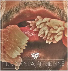 Toro y Moi - Underneath the Pine