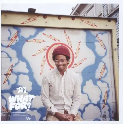 Toro Y Moi - What For?