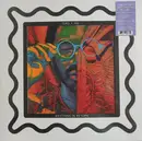 Double LP - Toro Y Moi - Anything In Return - Picture Disc