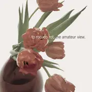 LP - To Rococo Rot - The Amateur View (Ltd. Edt.)