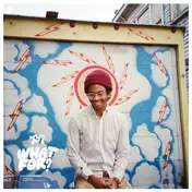 Toro y Moi - What For
