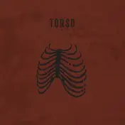 Torso - Limbs