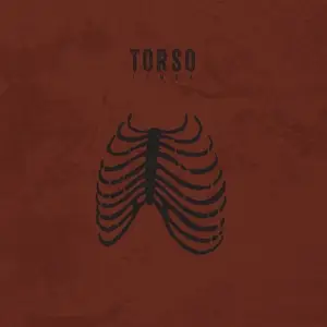 Torso - Limbs