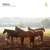 Tosca - Pony No Hassle Versions