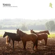 CD - Tosca - Pony No Hassle Versions