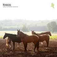 Tosca - Pony No Hassle Versions