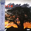 LP - Toshiyuki Honda , Chick Corea , Miroslav Vitous , Roy Haynes - Dream - PROMO COPY
