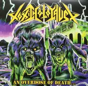toxic holocaust