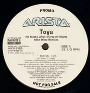 Toya - No Matter What (Party All Night) (Mike Rizzo Remixes)